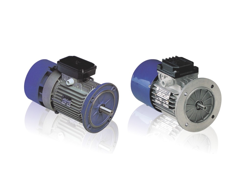 Electric Motor & Brake Motor